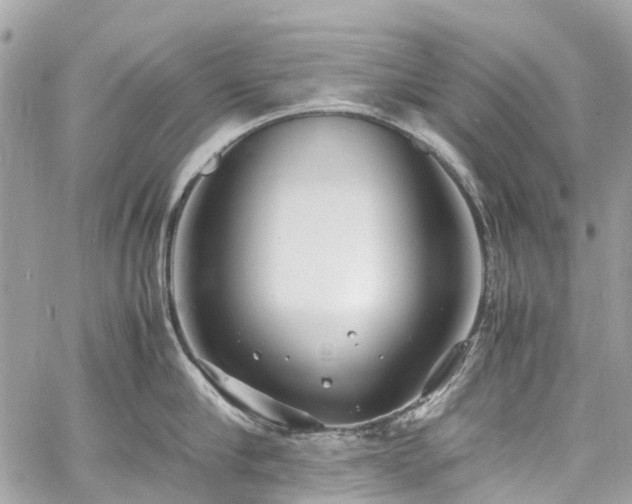 X0000060750910200511141155