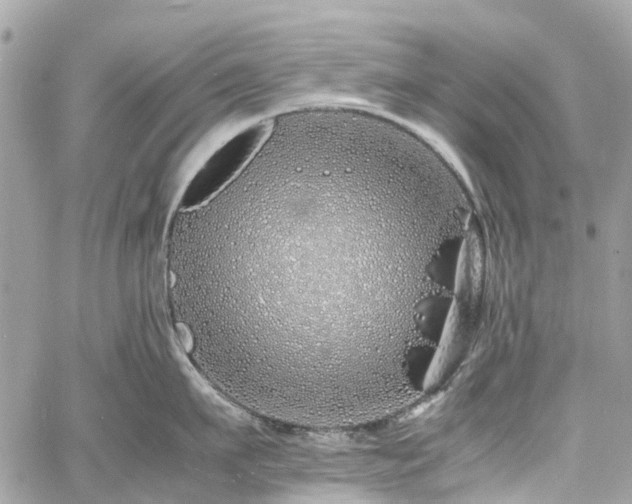 X0000060750911200511141155