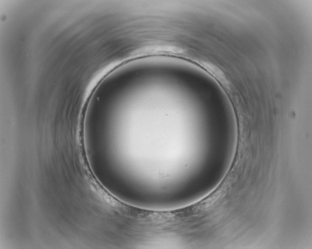 X0000060750912200511141155