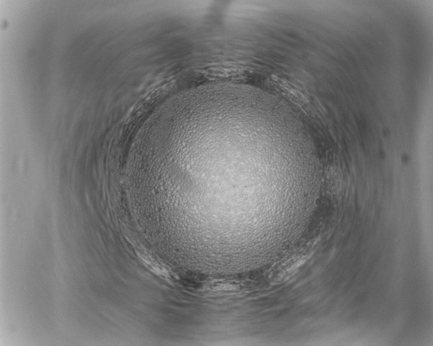 X0000060750913200511141155