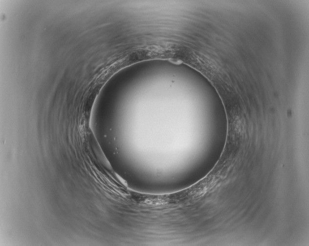 X0000060750914200511141155