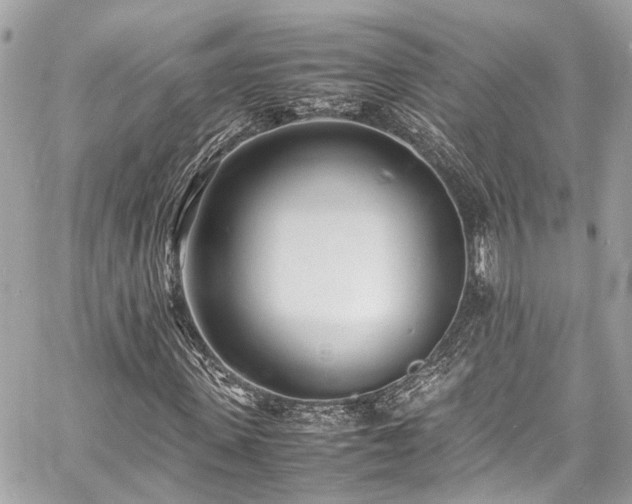 X0000060750915200511141155