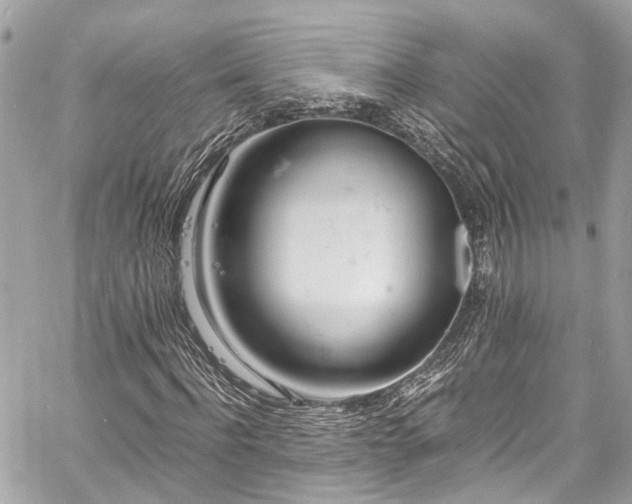 X0000060750916200511141155