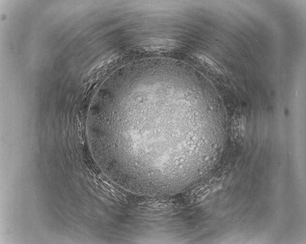 X0000060750917200511141155