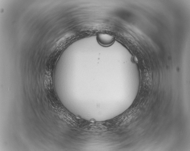 X0000060750918200511141155