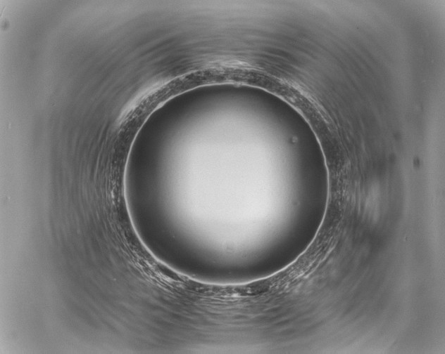 X0000060750919200511141155