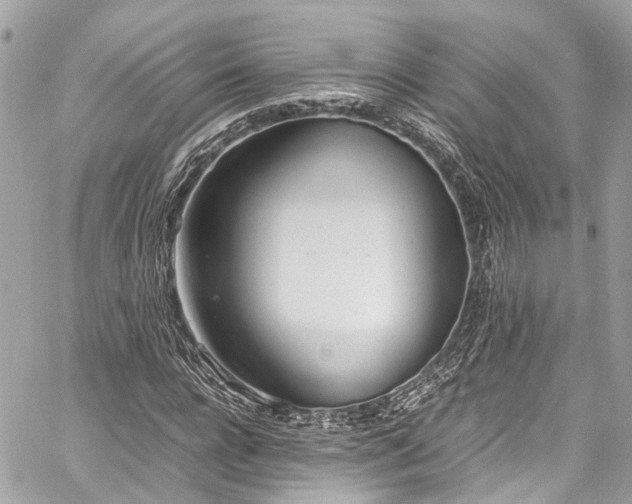 X0000060750920200511141155