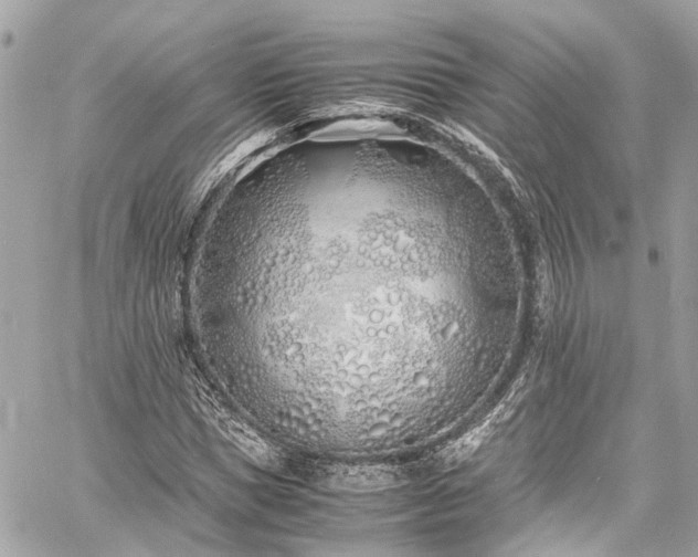 X0000060750921200511141155