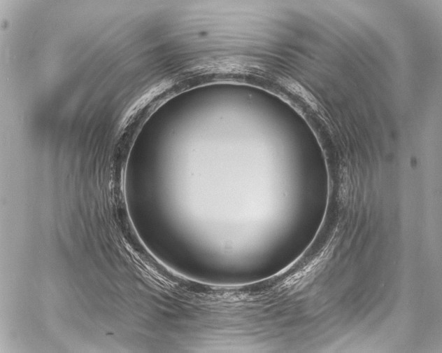 X0000060750922200511141155