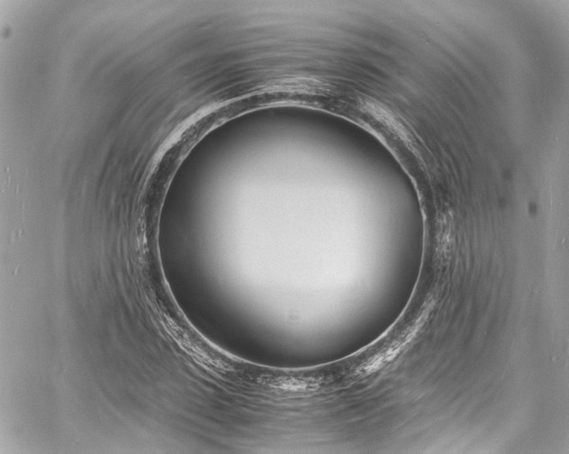 X0000060750923200511141155