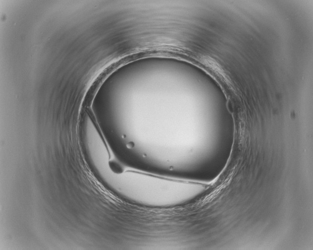 X0000060750924200511141155