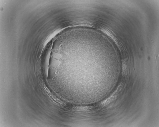 X0000060750925200511141155