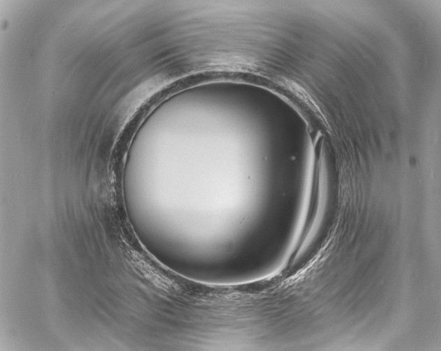 X0000060750926200511141155