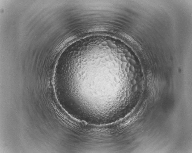 X0000060750929200511141155