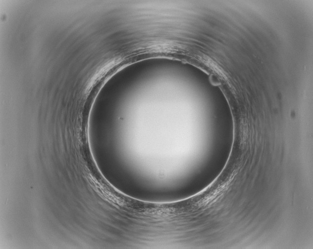 X0000060750930200511141155