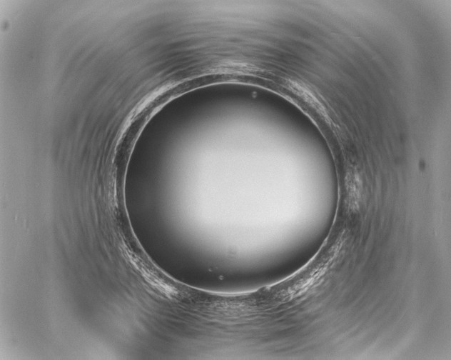 X0000060750931200511141155