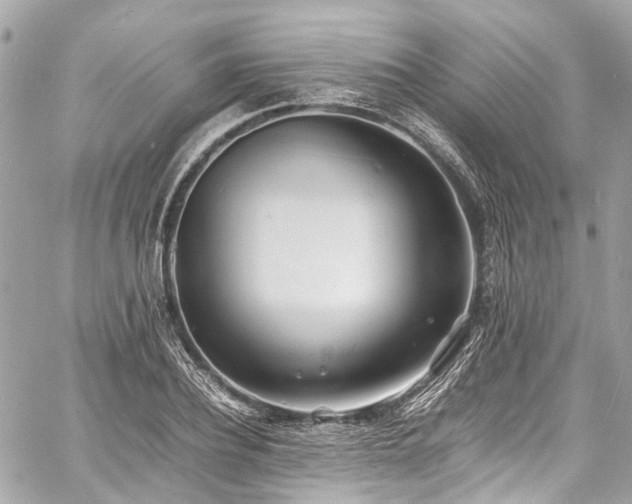 X0000060750932200511141155