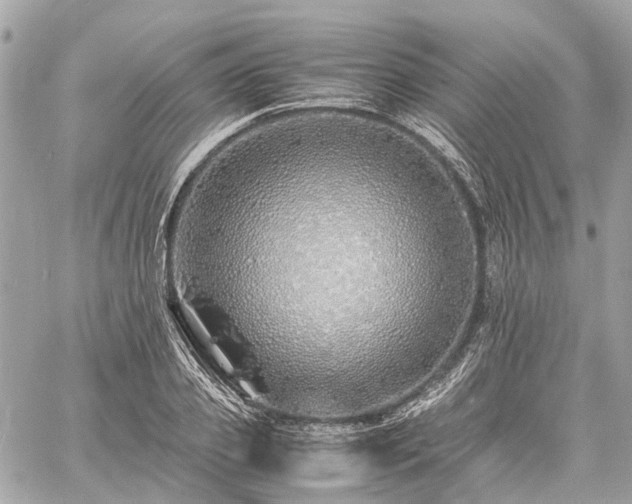 X0000060750933200511141155