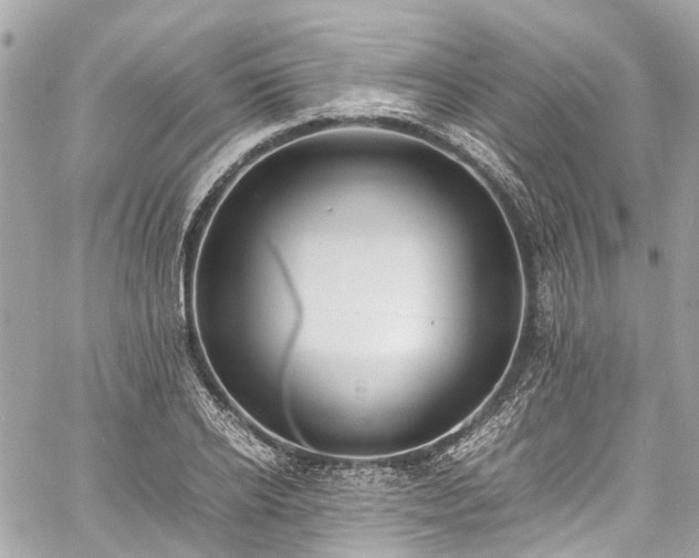 X0000060750934200511141155