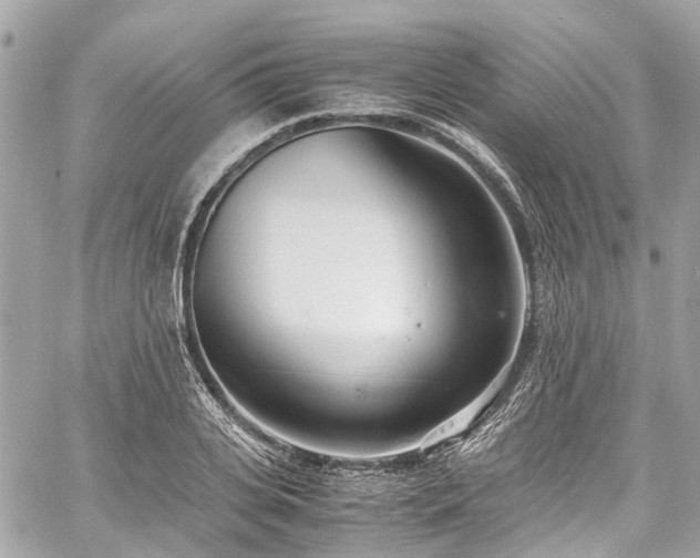 X0000060750935200511141155