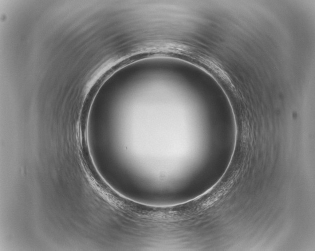 X0000060750936200511141155