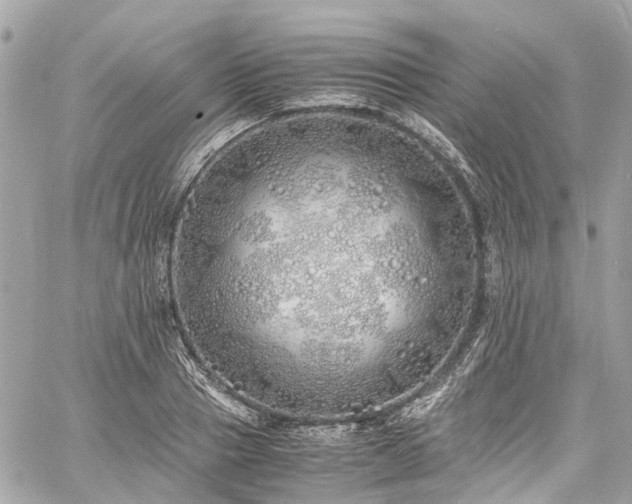 X0000060750937200511141155