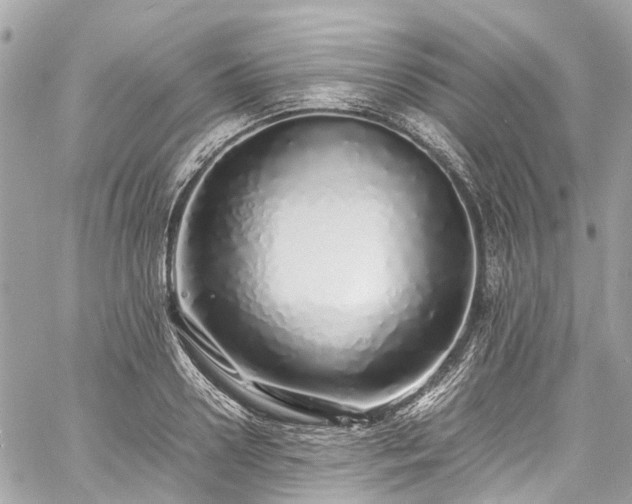 X0000060750938200511141155