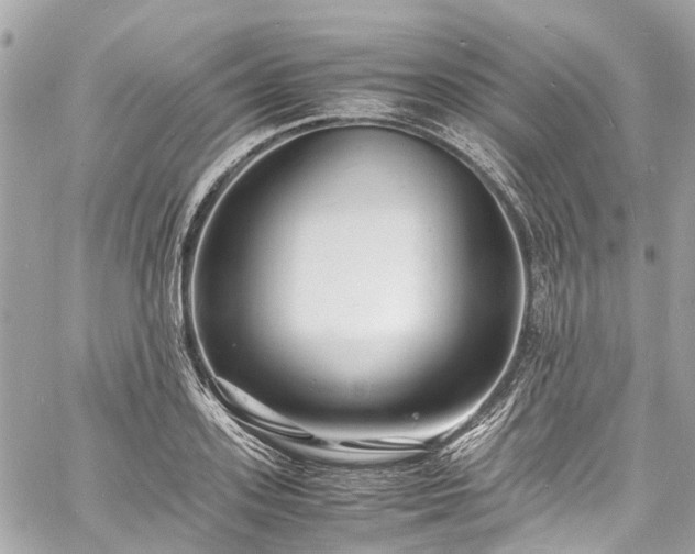 X0000060750939200511141155