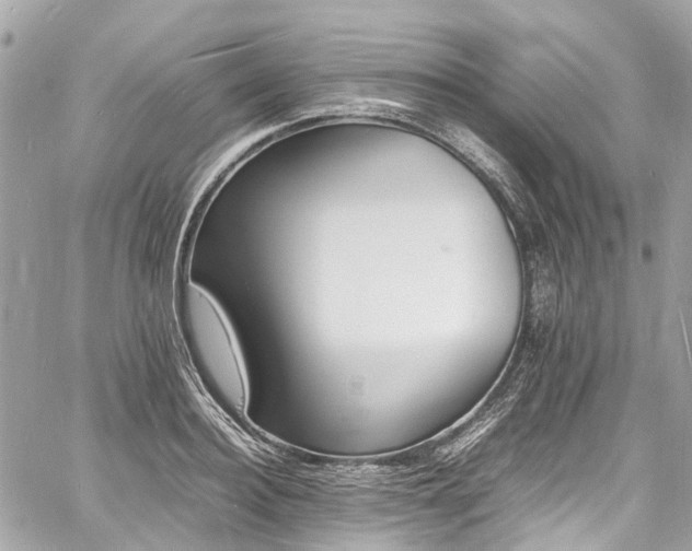 X0000060750940200511141155