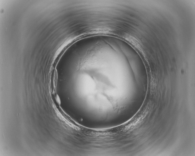 X0000060750941200511141155