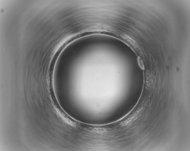 X0000060750942200511141155