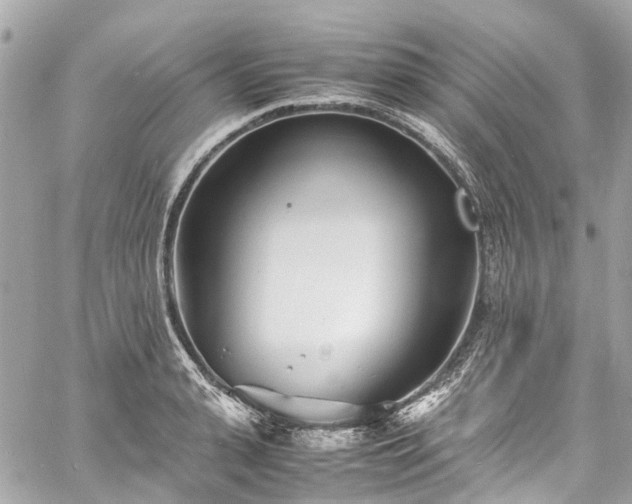 X0000060750943200511141155