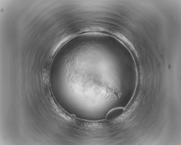 X0000060750945200511141155