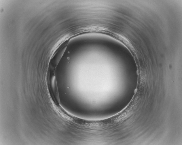 X0000060750946200511141155