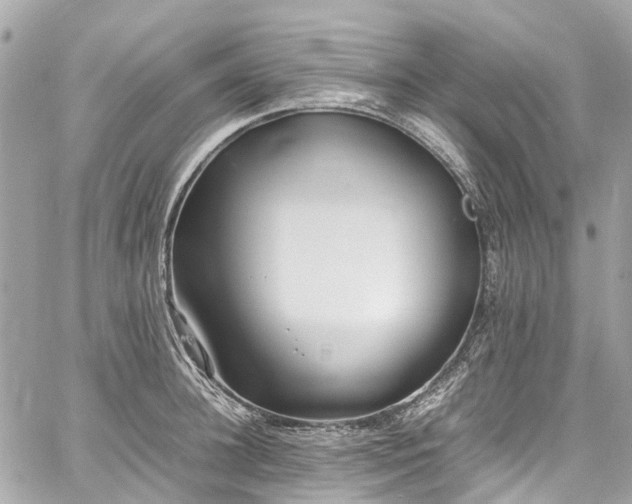 X0000060750948200511141155