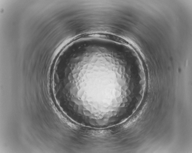 X0000060750949200511141155