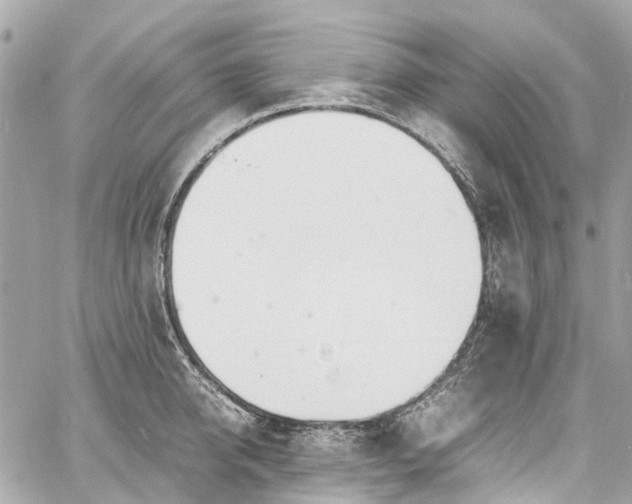 X0000060750950200511141155