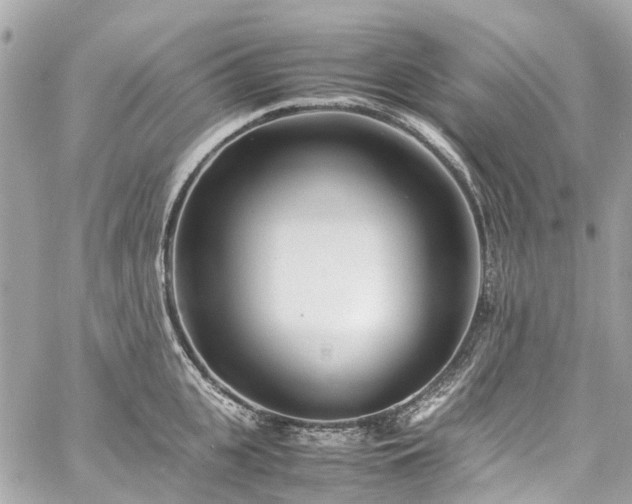 X0000060750951200511141155