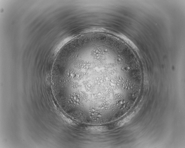 X0000060750953200511141155