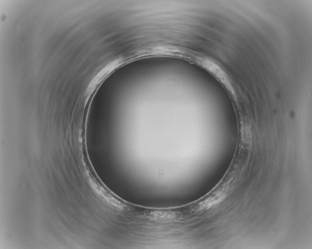 X0000060750954200511141155