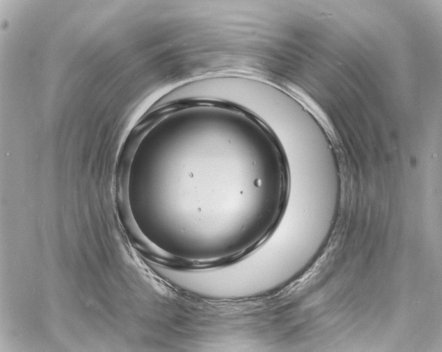 X0000060750956200511141155