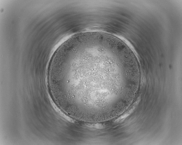 X0000060750957200511141155