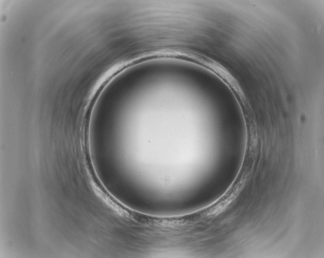 X0000060750958200511141155