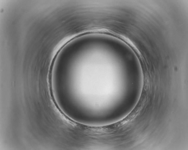 X0000060750959200511141155