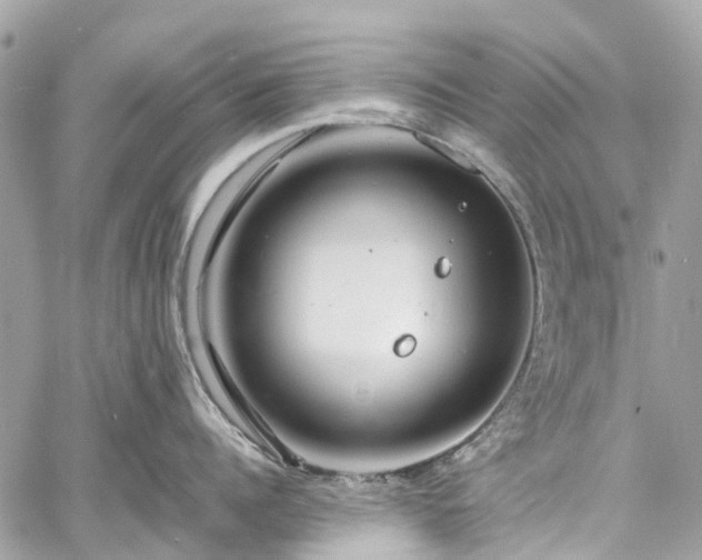 X0000060750960200511141155