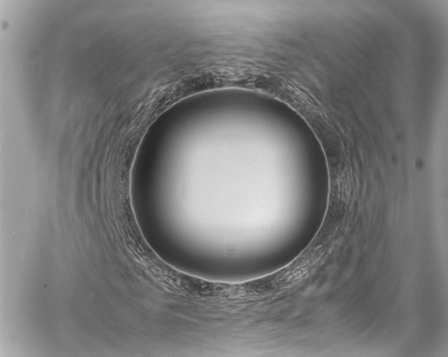 X0000060750961200511141155