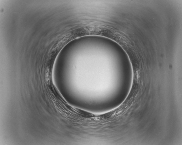 X0000060750963200511141155