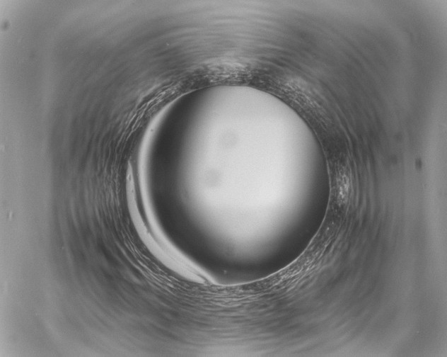 X0000060750964200511141155