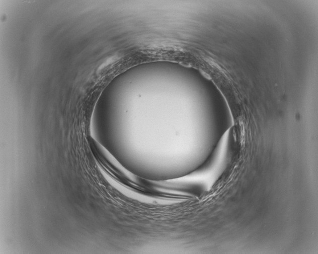 X0000060750965200511141155