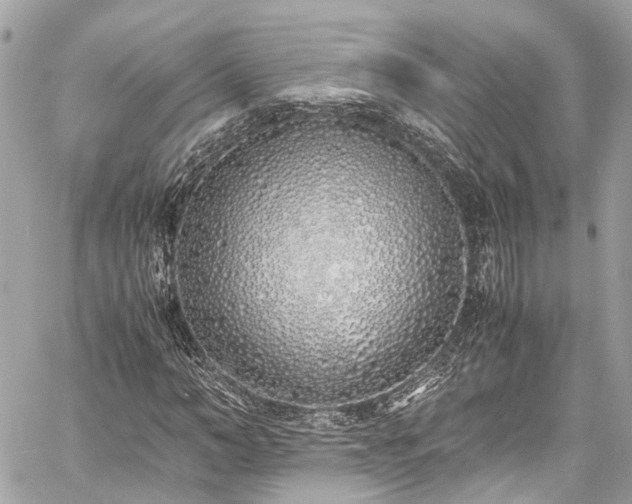 X0000060750966200511141155